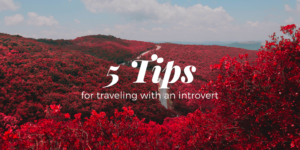 Read more about the article 5 Tips For Traveling With An Introvert
