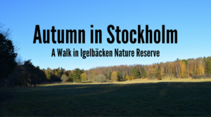 Autumn in Stockholm: A Walk in Igelbäcken Nature Reserve