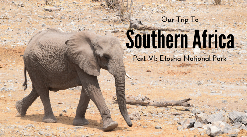 Etosha National Park, Namibia, Elephants, Safari