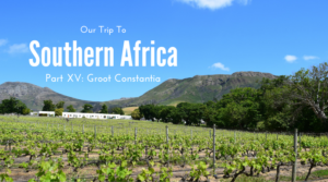 Wine Tasting, Groot Constantia, Cape Town, South Africa
