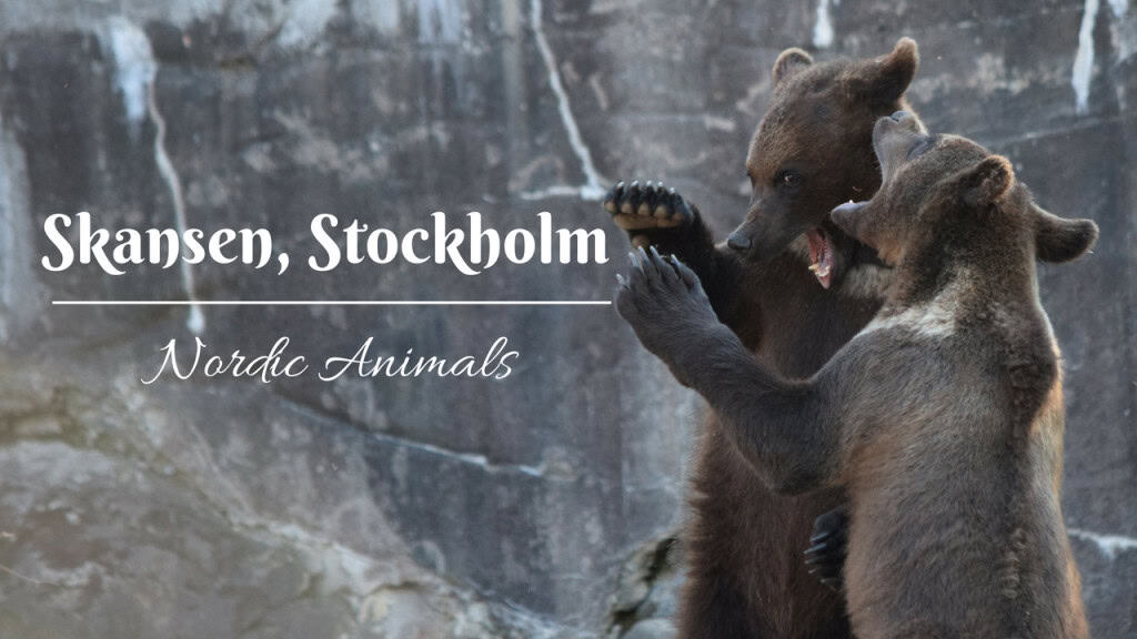 Nordic animals, Skansen, Djurgården, Stockholm, Sweden