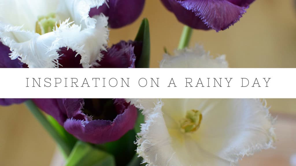 Rainy Wednesday Inspiration
