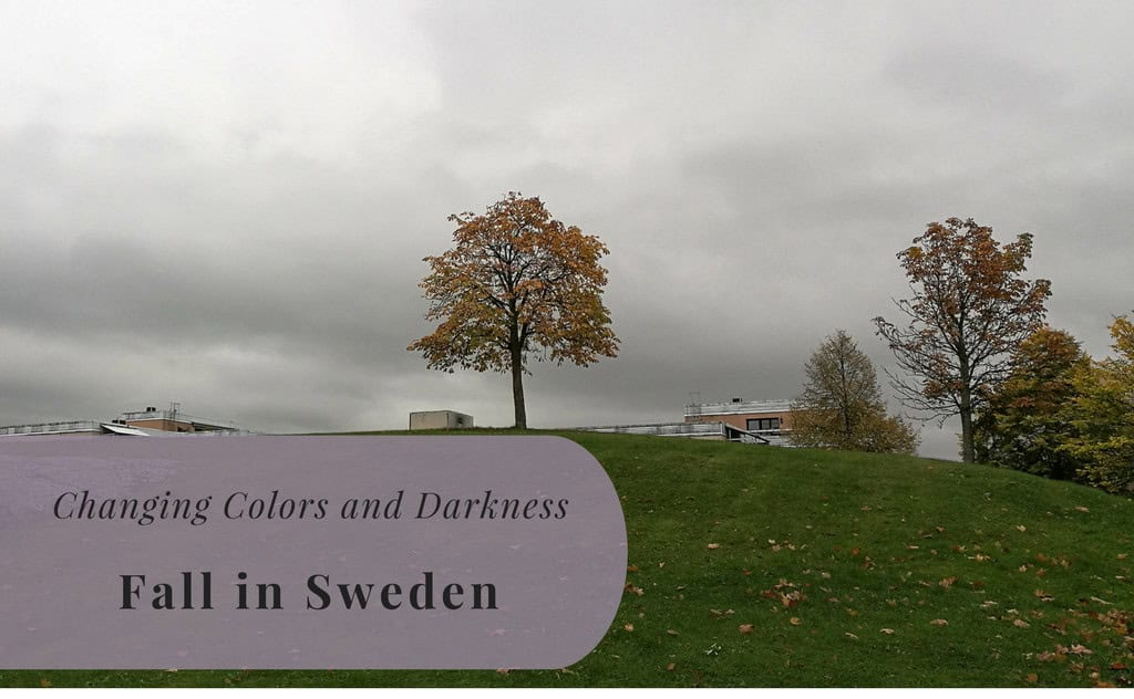 Fall in Sweden, Kista, Stockholm