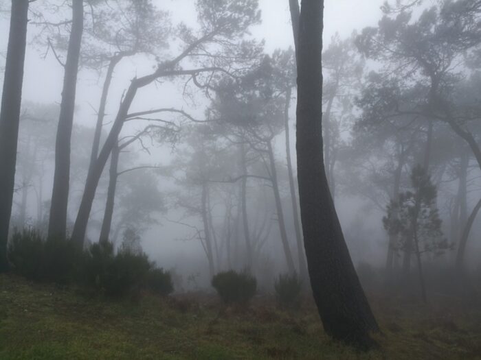 Pico do Arieiro, Madeira, 2018, Portugal
