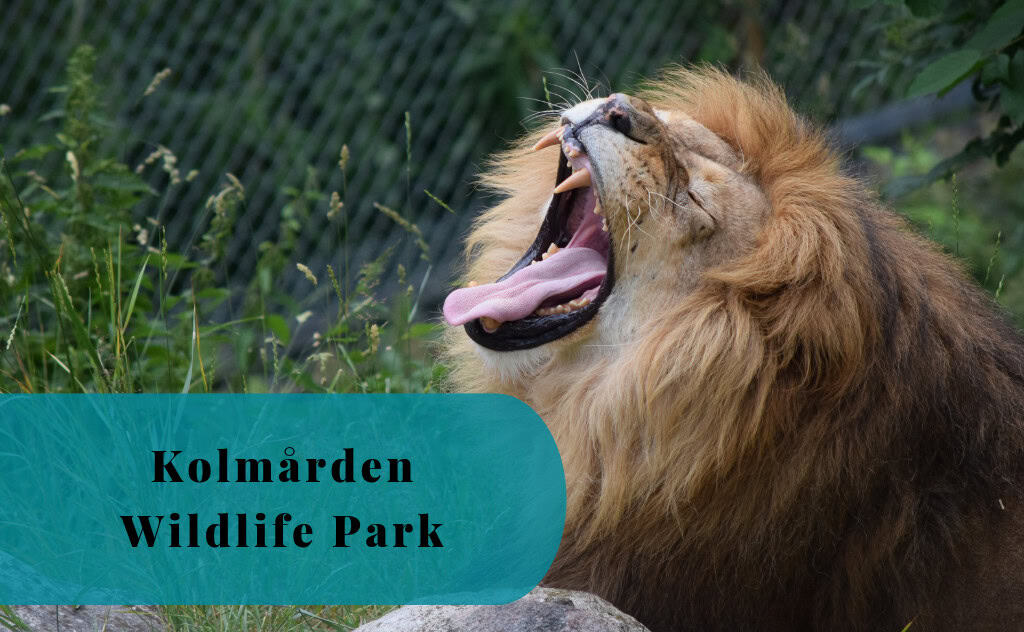 Kolmården Wildlife Park, Sweden, Zoo, Norrköping