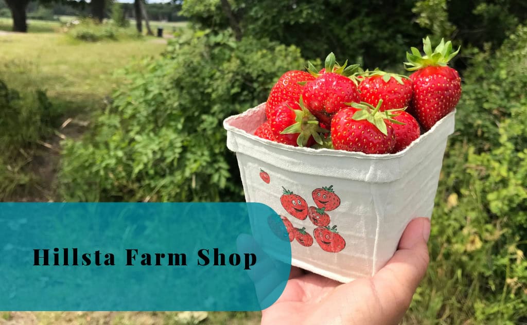 Hillsta Farm Shop, Gårdsbutik, Västerljung, Sweden