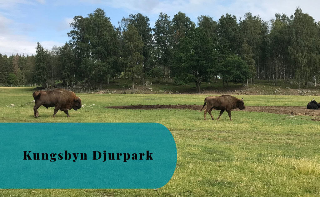 Kungsbyn Djurpark, Västerås, Sweden
