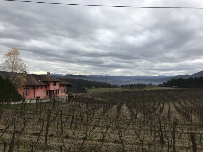 Vinarija Jungić, Banja Luka, Republika Srpska, Bosnia and Herzegovina.