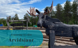 Arvidsjaur, Lappland, Exploring Sweden