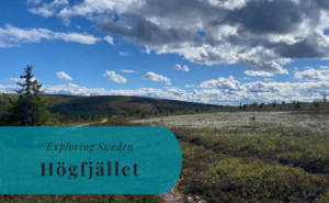 Högfjället, Dalarna, Exploring Sweden