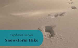 Vagnhärad, Sweden, Snowstorm, Hike, Winter, Snow, Storm