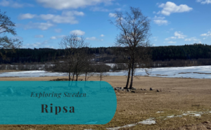Ripsa, Södermanland, Exploring Sweden