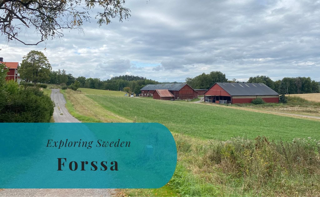 Forssa, Södermanland, Exploring Sweden