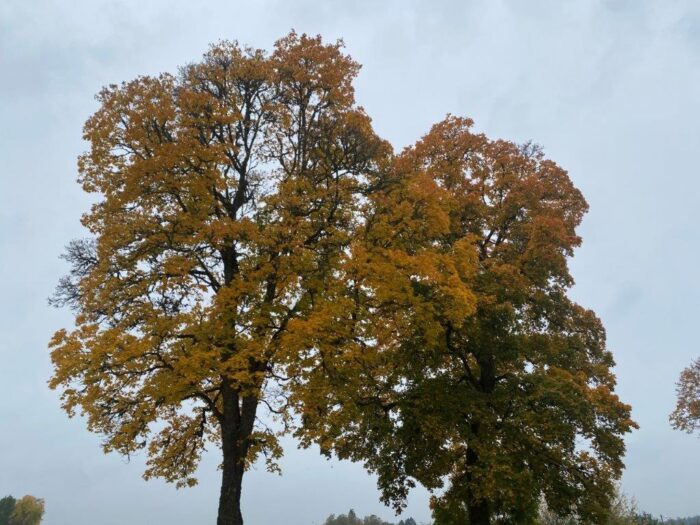 Tillbergaby, Västmanland, Sweden