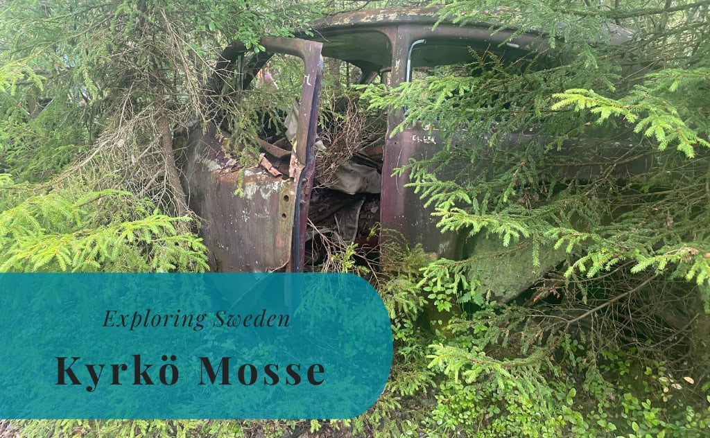 Kyrkö Mosse, Småland, Exploring Sweden