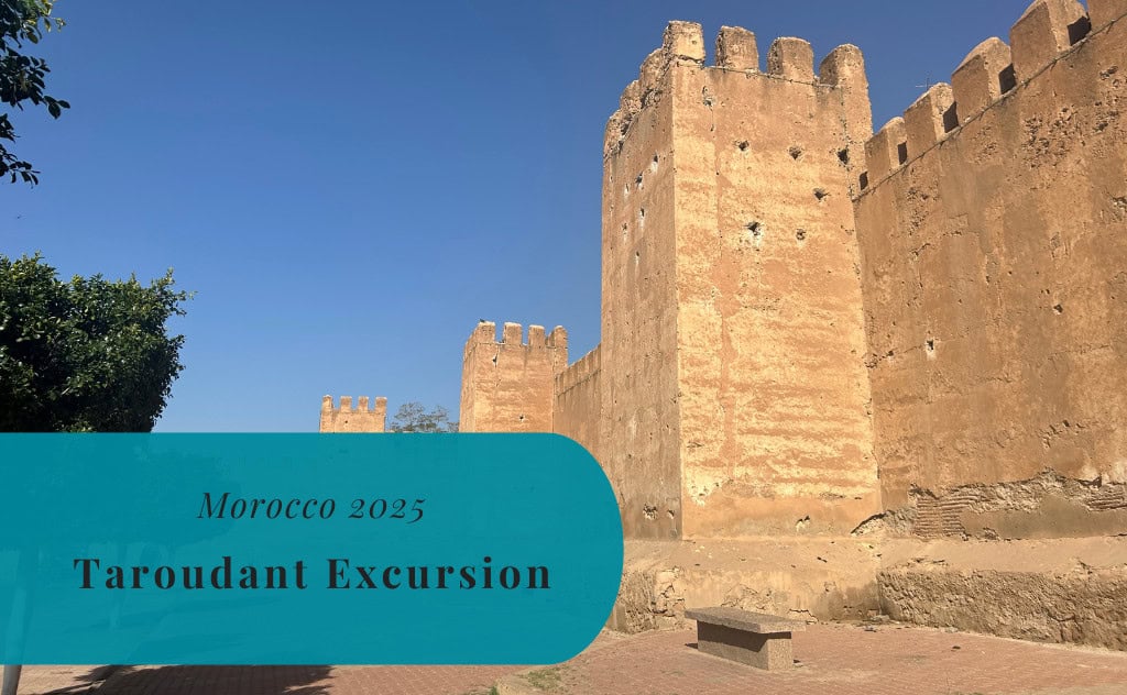 Taroudant and Tiout Excursion, Agadir, Morocco 2025
