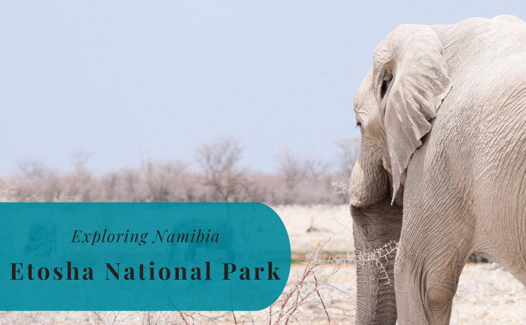 Etosha National Park, Exploring Namibia
