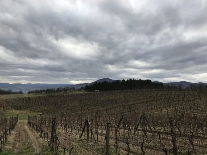 Vinarija Jungić, Republika Srpska, Bosnia and Herzegovina.