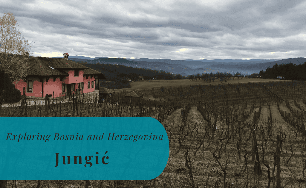 Jungić, Exploring Bosnia and Herzegovina, Vinarija, Winery