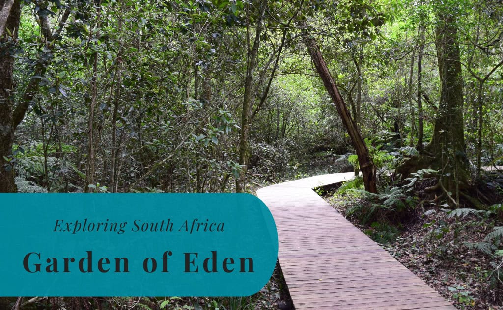 Garden of Eden, Exploring South Africa