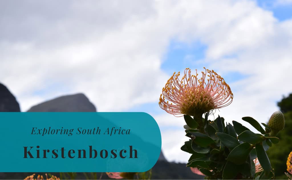 Kirstenbosch, Exploring South Africa
