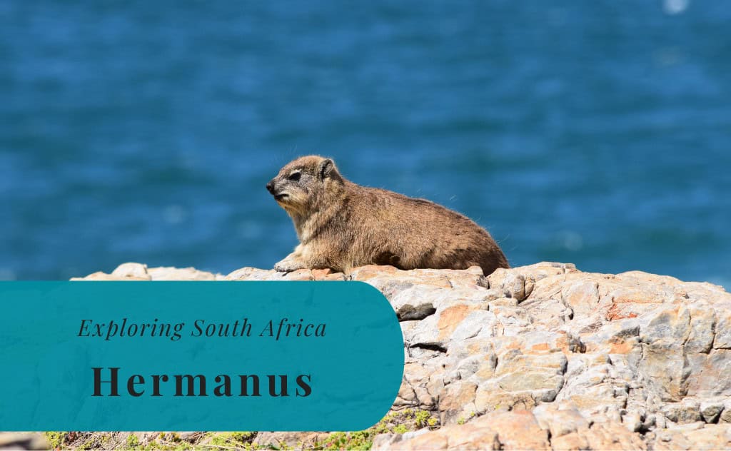 Hermanus, Exploring South Africa