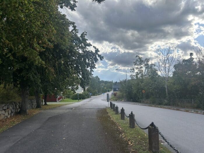 A peaceful suburban street scene with trees, cloudy sky, and a quiet road, ideal for outdoor walking and community relaxation.